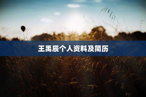 王禹辰个人资料及简历