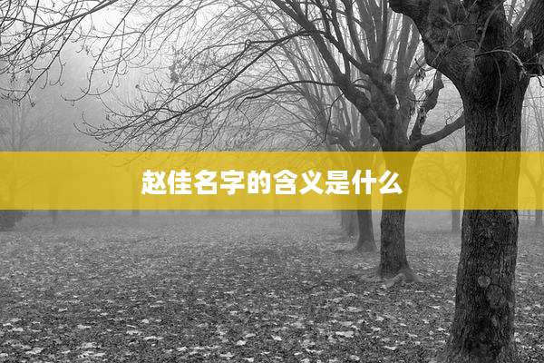 赵佳名字的含义是什么