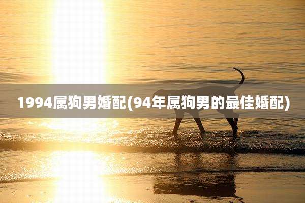 1994属狗男婚配(94年属狗男的最佳婚配)