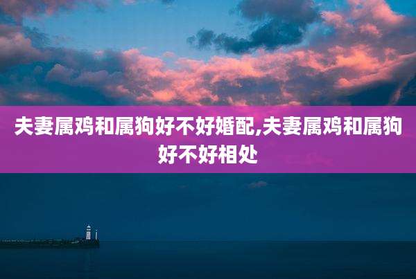 夫妻属鸡和属狗好不好婚配,夫妻属鸡和属狗好不好相处