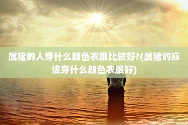 属猪的人穿什么颜色衣服比较好?(属猪的应该穿什么颜色衣服好)
