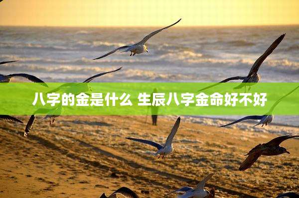 八字的金是什么 生辰八字金命好不好