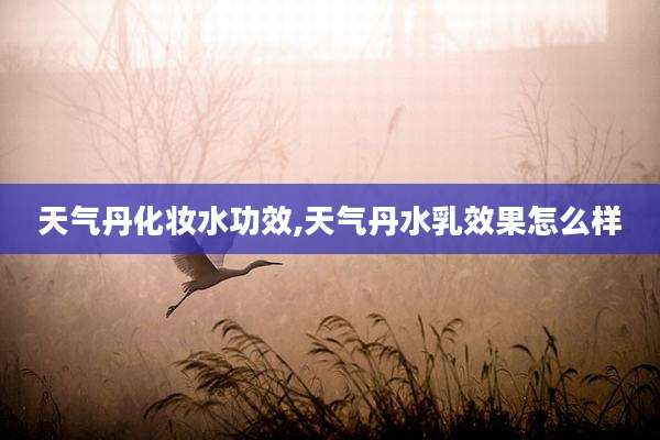 天气丹化妆水功效,天气丹水乳效果怎么样
