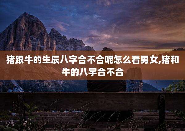 猪跟牛的生辰八字合不合呢怎么看男女,猪和牛的八字合不合