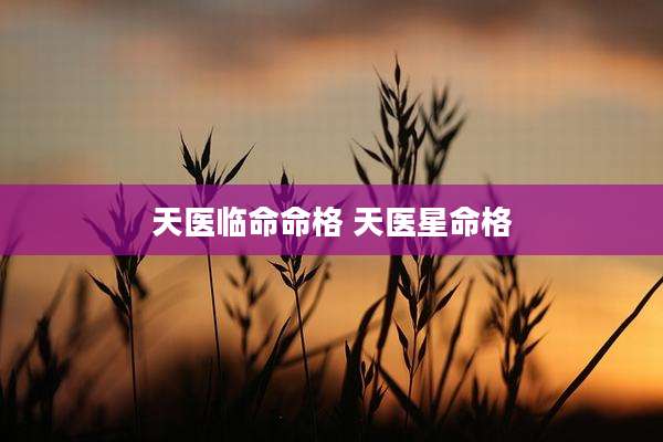 天医临命命格 天医星命格