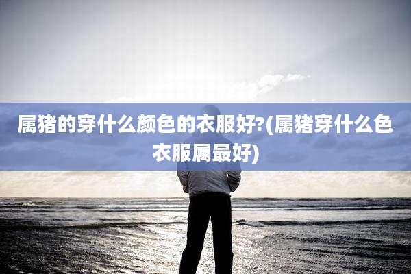 属猪的穿什么颜色的衣服好?(属猪穿什么色衣服属最好)