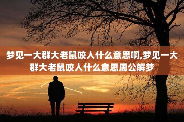 梦见一大群大老鼠咬人什么意思啊,梦见一大群大老鼠咬人什么意思周公解梦