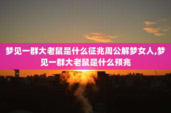 梦见一群大老鼠是什么征兆周公解梦女人,梦见一群大老鼠是什么预兆