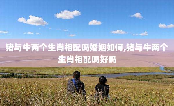 猪与牛两个生肖相配吗婚姻如何,猪与牛两个生肖相配吗好吗