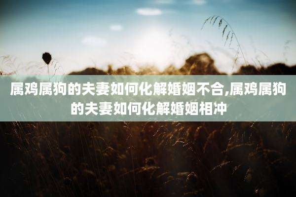 属鸡属狗的夫妻如何化解婚姻不合,属鸡属狗的夫妻如何化解婚姻相冲