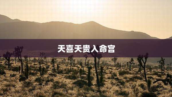 天喜天贵入命宫