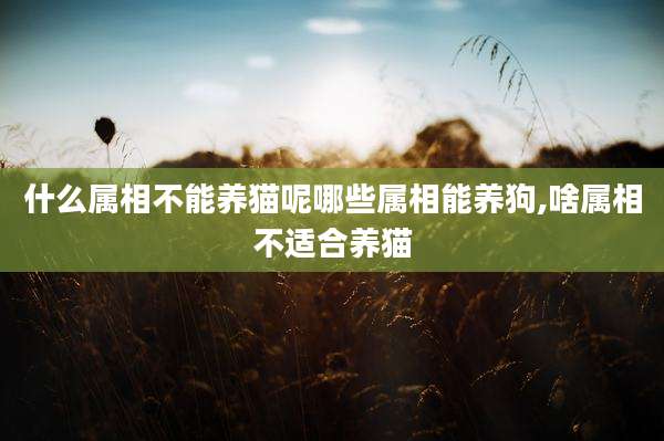 什么属相不能养猫呢哪些属相能养狗,啥属相不适合养猫