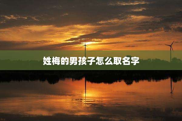姓梅的男孩子怎么取名字