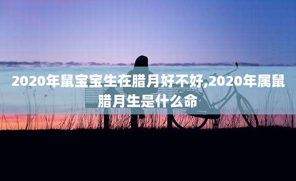 2020年鼠宝宝生在腊月好不好,2020年属鼠腊月生是什么命