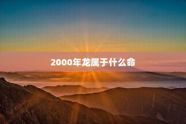 2000年龙属于什么命