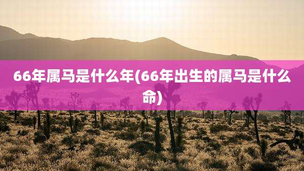 66年属马是什么年(66年出生的属马是什么命)