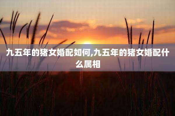 九五年的猪女婚配如何,九五年的猪女婚配什么属相