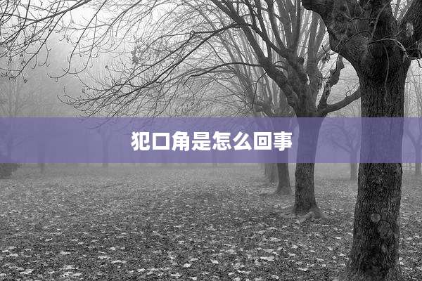 犯口角是怎么回事
