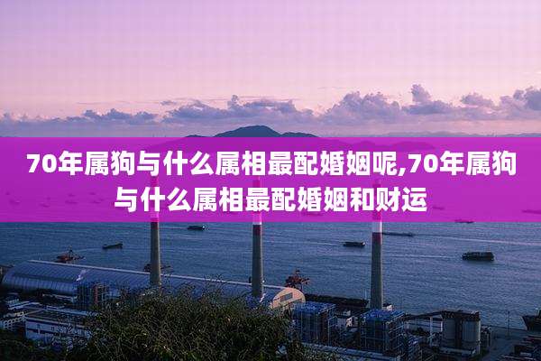 70年属狗与什么属相最配婚姻呢,70年属狗与什么属相最配婚姻和财运