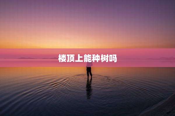 楼顶上能种树吗