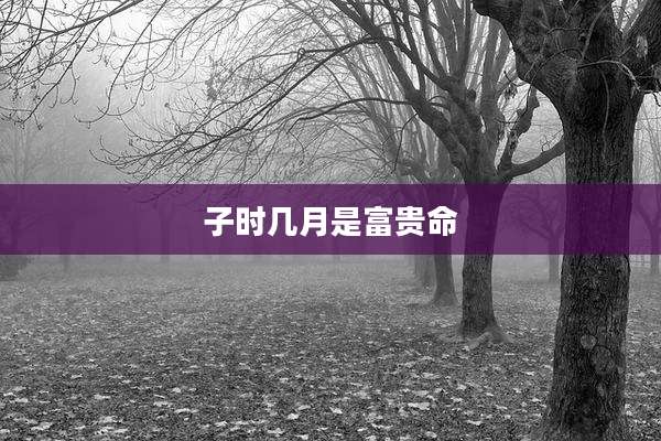 子时几月是富贵命