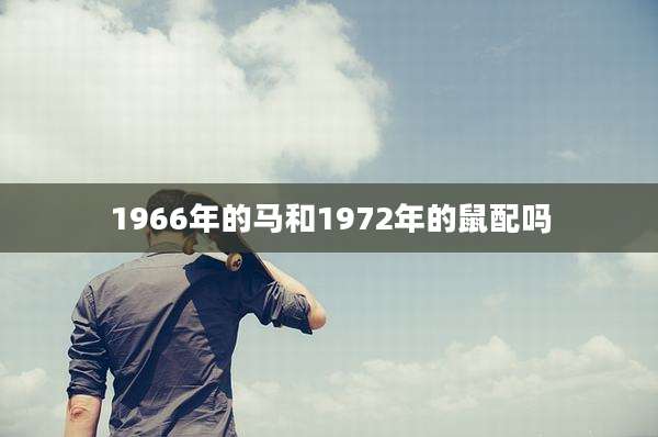 1966年的马和1972年的鼠配吗