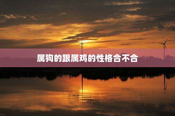 属狗的跟属鸡的性格合不合