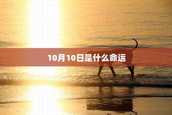 10月10日是什么命运