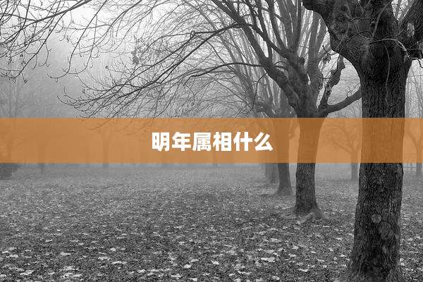 明年属相什么