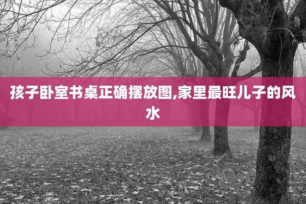 孩子卧室书桌正确摆放图,家里最旺儿子的风水