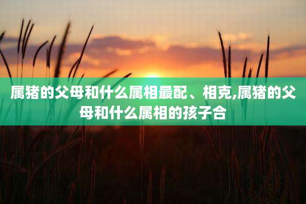 属猪的父母和什么属相最配、相克,属猪的父母和什么属相的孩子合