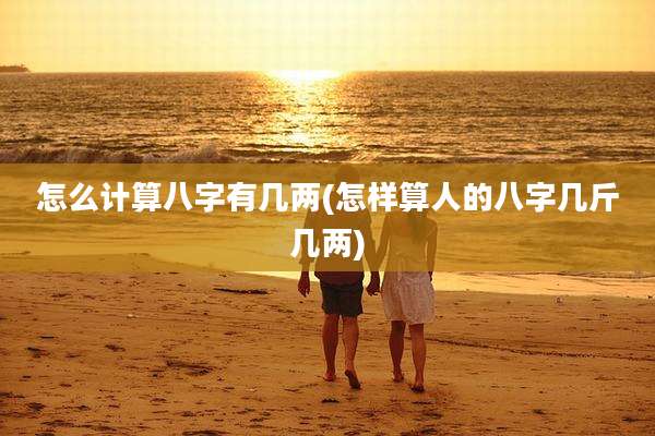 怎么计算八字有几两(怎样算人的八字几斤几两)