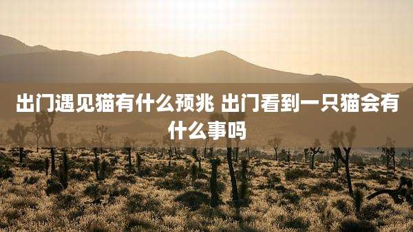 出门遇见猫有什么预兆 出门看到一只猫会有什么事吗