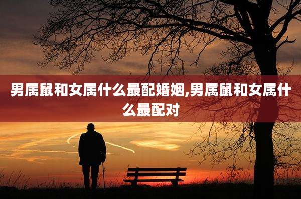男属鼠和女属什么最配婚姻,男属鼠和女属什么最配对