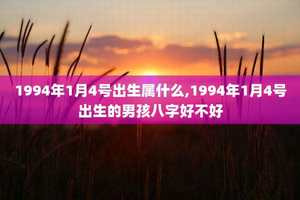 1994年1月4号出生属什么,1994年1月4号出生的男孩八字好不好