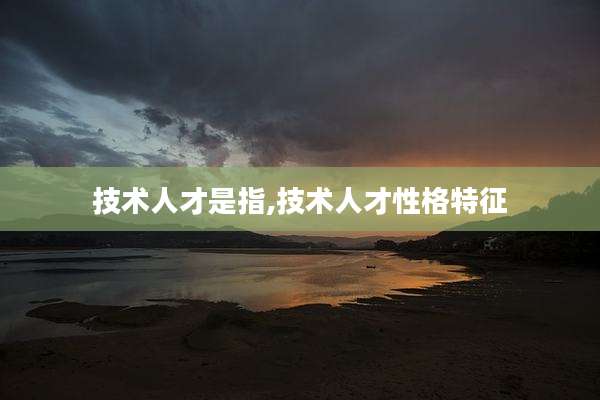 技术人才是指,技术人才性格特征