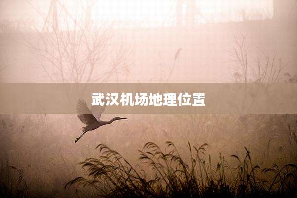 武汉机场地理位置