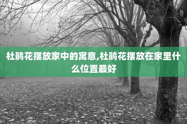 杜鹃花摆放家中的寓意,杜鹃花摆放在家里什么位置最好