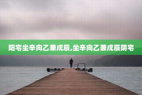 阳宅坐辛向乙兼戍辰,坐辛向乙兼戌辰阴宅