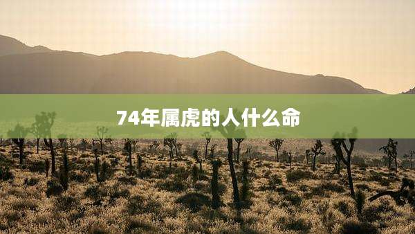 74年属虎的人什么命