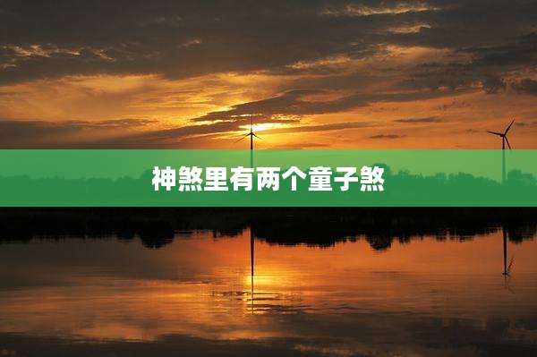 神煞里有两个童子煞