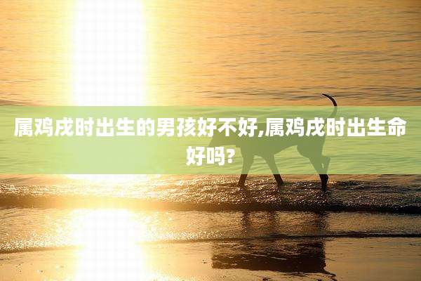 属鸡戌时出生的男孩好不好,属鸡戌时出生命好吗?