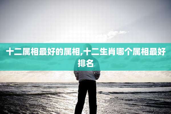 十二属相最好的属相,十二生肖哪个属相最好排名