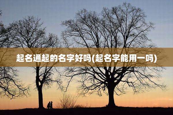 起名通起的名字好吗(起名字能用一吗)