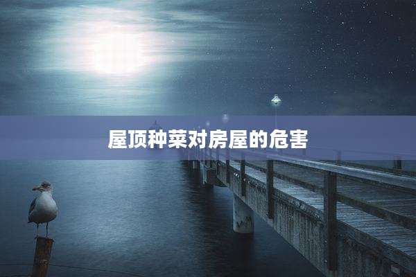 屋顶种菜对房屋的危害