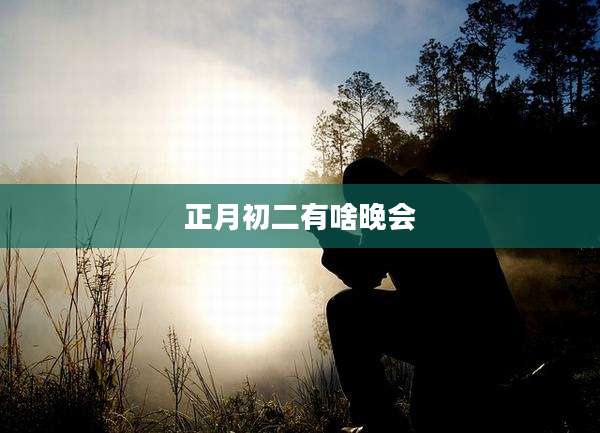 正月初二有啥晚会