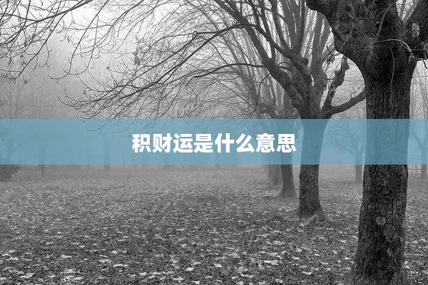 积财运是什么意思