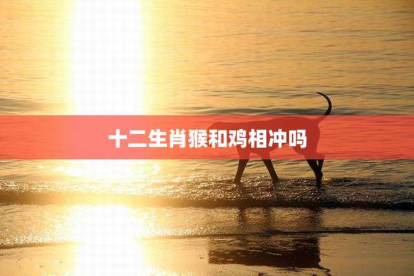 十二生肖猴和鸡相冲吗