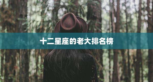 十二星座的老大排名榜