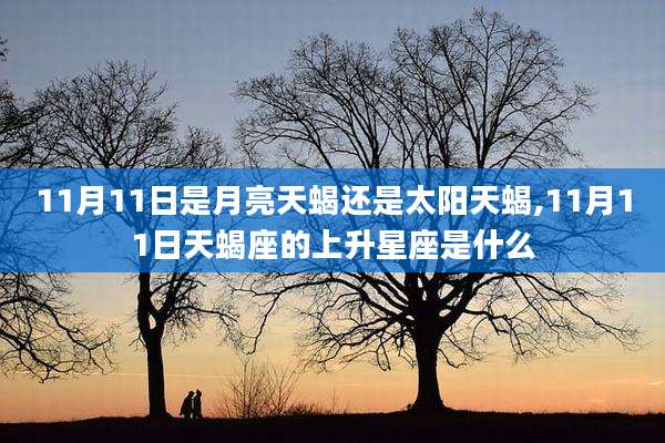 11月11日是月亮天蝎还是太阳天蝎,11月11日天蝎座的上升星座是什么